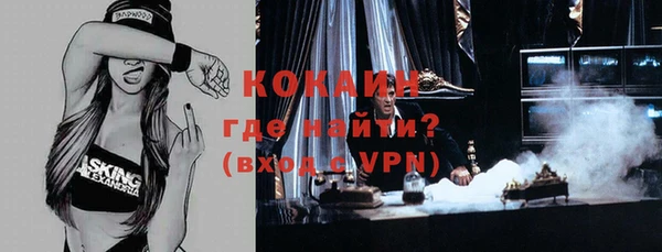 крисы Богородицк