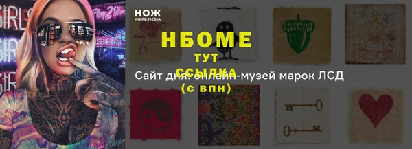 крисы Богородицк