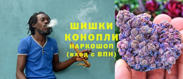 амф Богородск