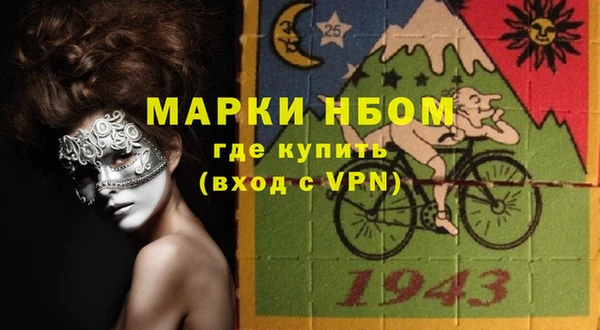гашик Белокуриха