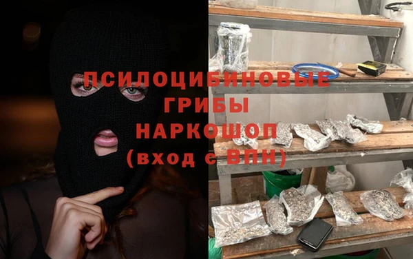 гашик Белокуриха
