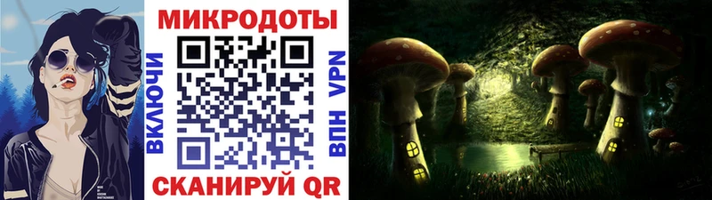 Галлюциногенные грибы Psilocybe Малая Вишера