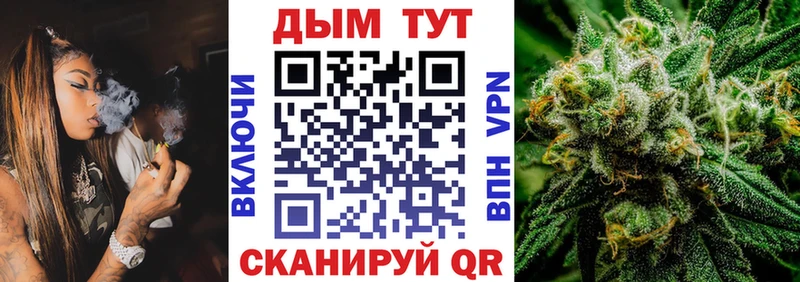 Шишки марихуана семена  хочу наркоту  Малая Вишера 